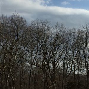 Meet your Posher, Amada